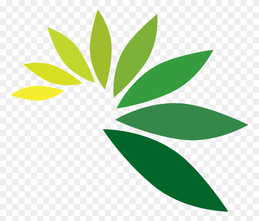 772x656 Leaf Logos - Leaf Logo PNG