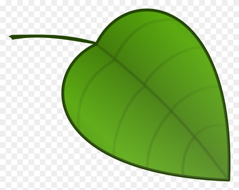 1920x1499 Leaf Nature Nerves Veins Green Free Image - Veins PNG