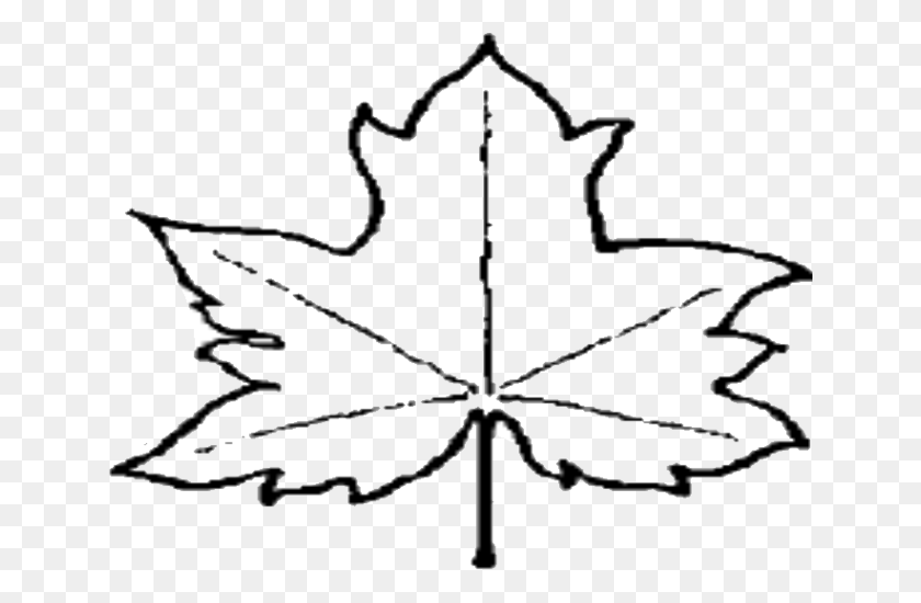 643x490 Leaf Outline Clipart - Tree Clipart Black And White No Leaves