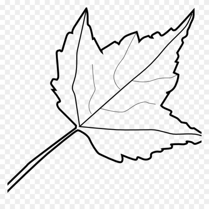 1024x1024 Leaf Outline Images Free Clipart Download - Shell Outline Clipart