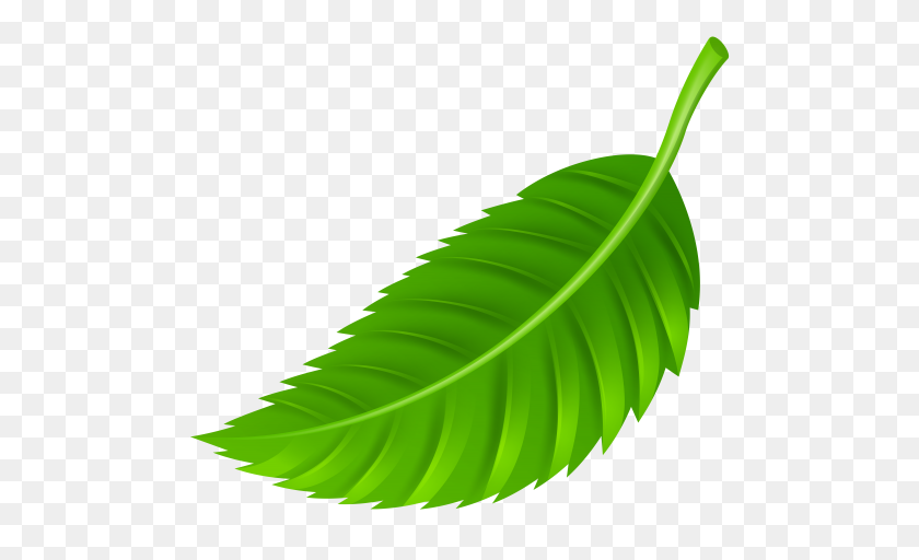 500x452 Hoja Png Clipart - Hoja Png