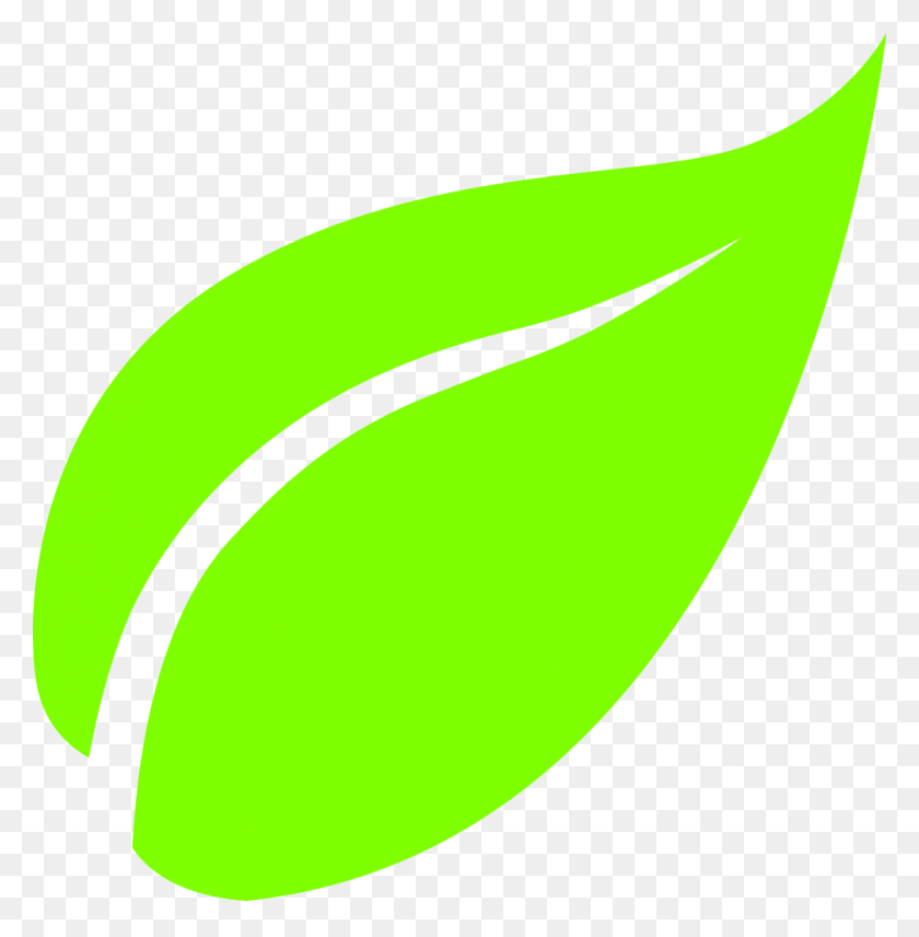 1003x1024 Leaf Png Clipart - Leaf Vector PNG