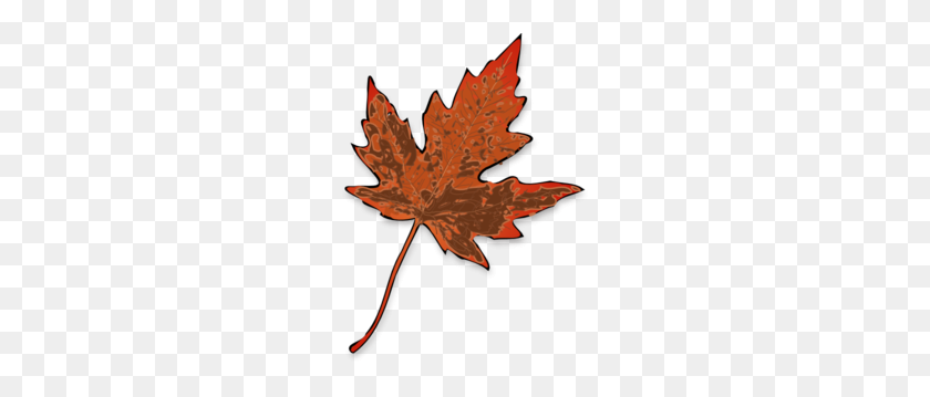 228x299 Leaf Png Images, Icon, Cliparts - Maple Tree PNG