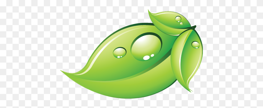 456x285 Hoja Png Descargar Gratis Transparente - Hoja Verde Png