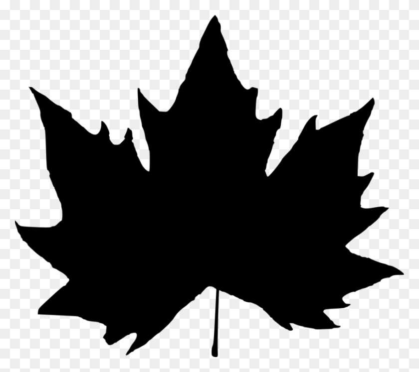 850x749 Leaf Silhouette Png - Canadian Leaf PNG