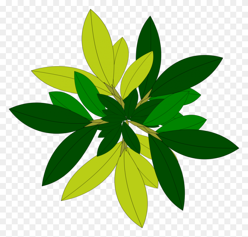 1060x1011 Leaf Tree Top View Png Clipart Sellhotproducts - Tree Top PNG