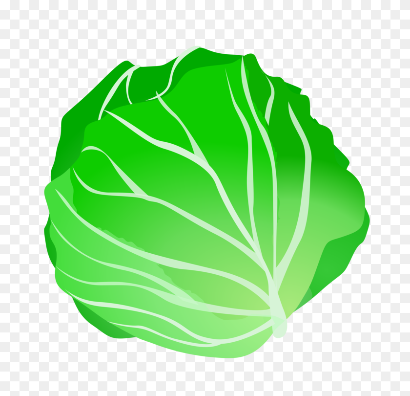 750x750 Leaf Vegetable Cabbage Iceberg Lettuce Fruit - Vegetables PNG