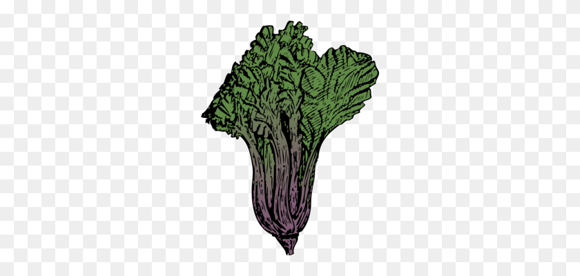 258x340 Leaf Vegetable Kale Cabbage Spinach - Kale PNG