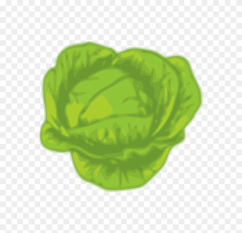 750x750 Leaf Vegetable Wikimedia Commons Cabbage Download - Cabbage Clipart