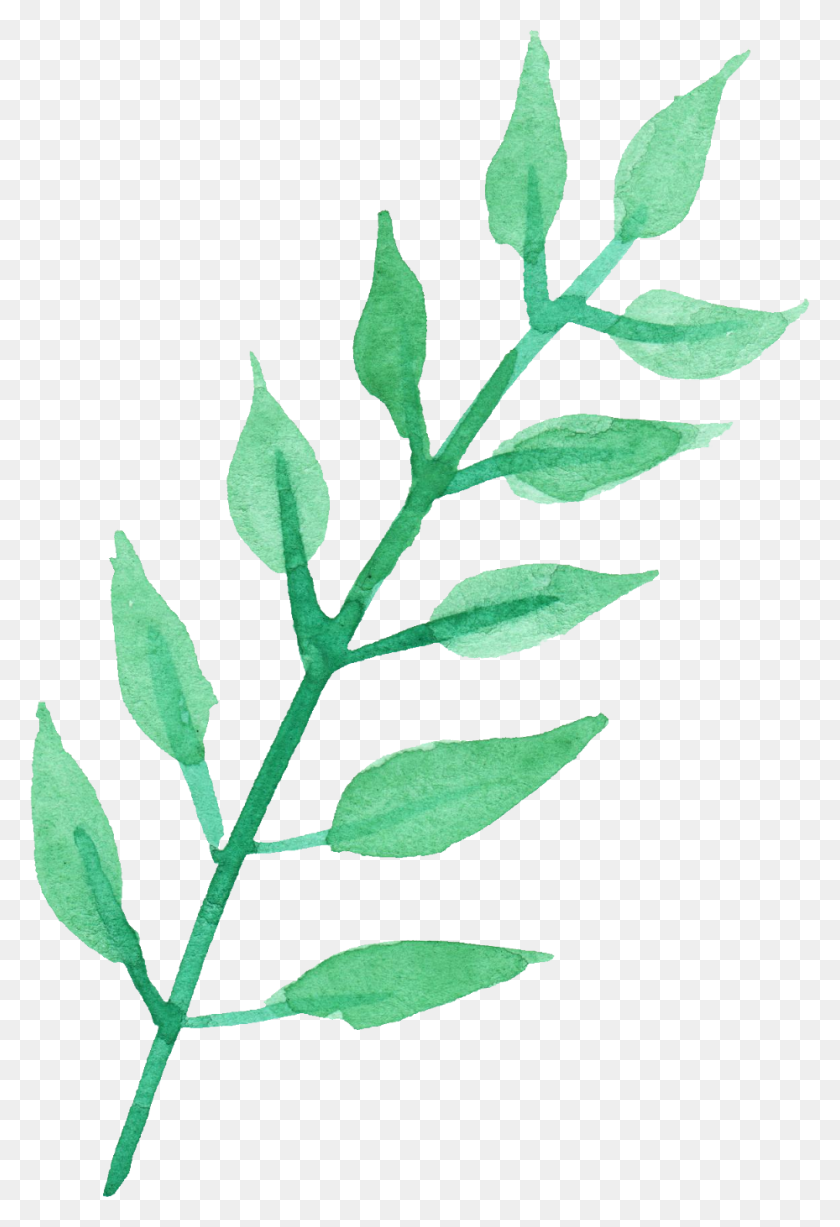 929x1390 Leaf Watercolor Png Png Image - Watercolor PNG