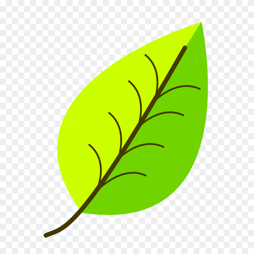 2400x2400 Leaf With Venation, Two Color Icons Png - Leaf Icon PNG