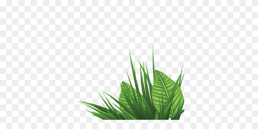 360x360 Leafy Grass Decorative Panel, Grass Clipart, Leafy Grass, Lovely - Tropical Plant PNG