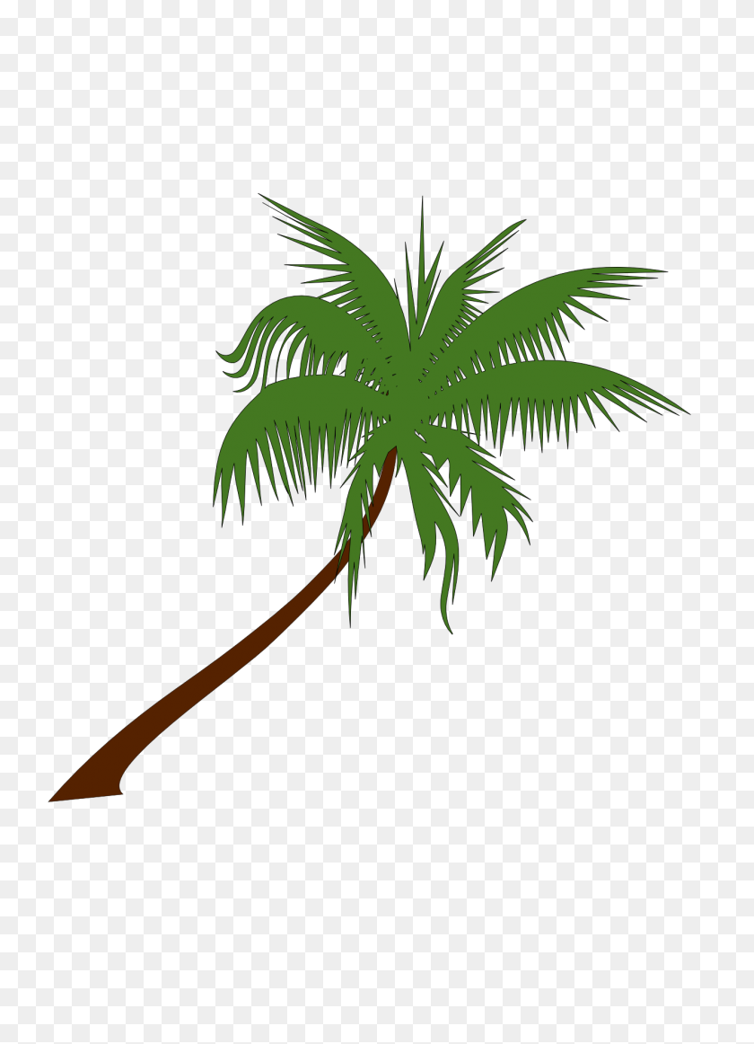 1331x1882 Leaining Palm Tree Clipart, Explore Pictures - Tree Clipart No Background