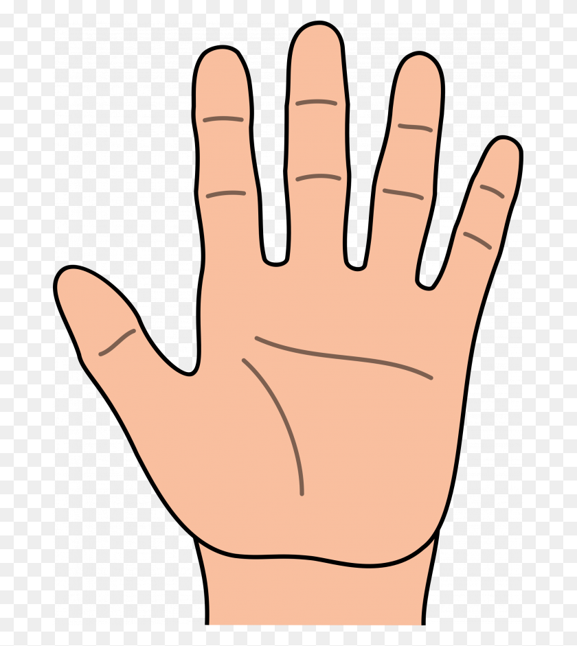 685x881 Узнайте, Что Форма Вашей Руки Говорит О Вашей Личности - Открытые Руки Png