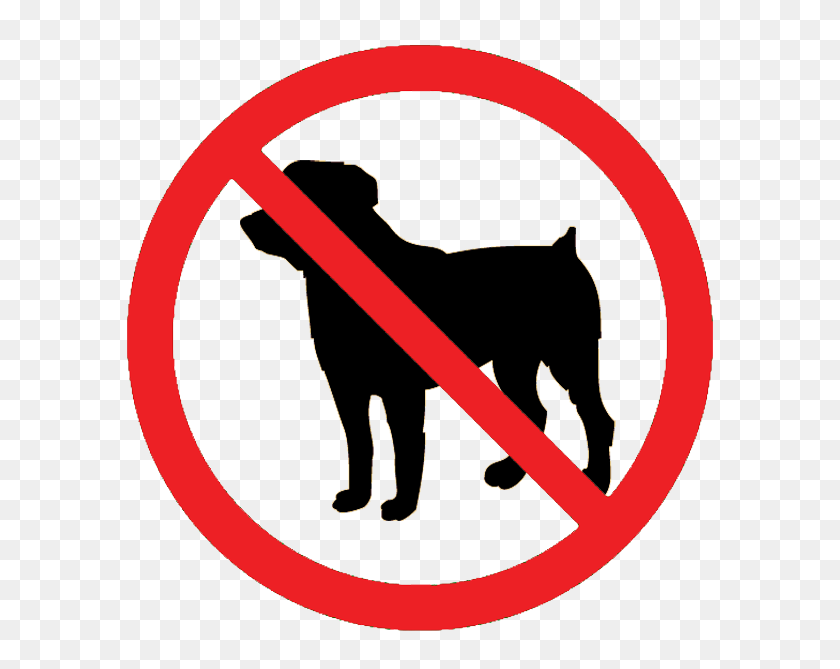 600x609 Leash Tightens On Dogs In City Geelong Indy - Dog Leash Clipart