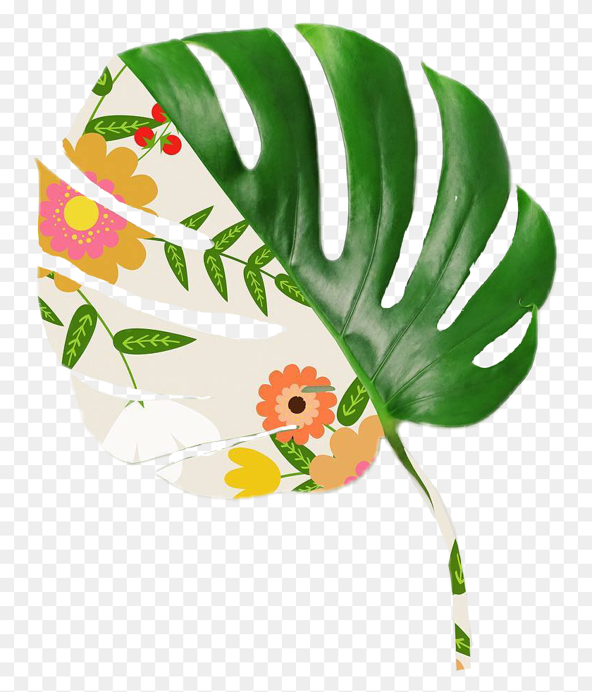 747x922 Leave Flowersplant - Monstera Leaf Clipart