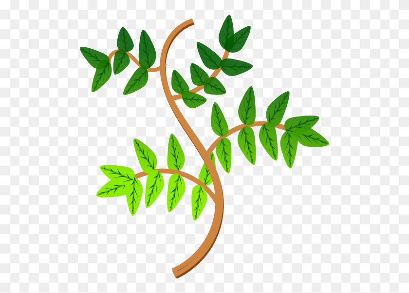 512x541 Leaves And Branches Clipart - Leaf Branch Clip Art