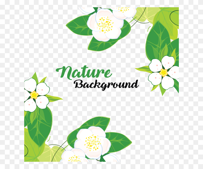 640x640 Leaves And Flowers With Nature Background, Leaves, Background - Flower Background PNG