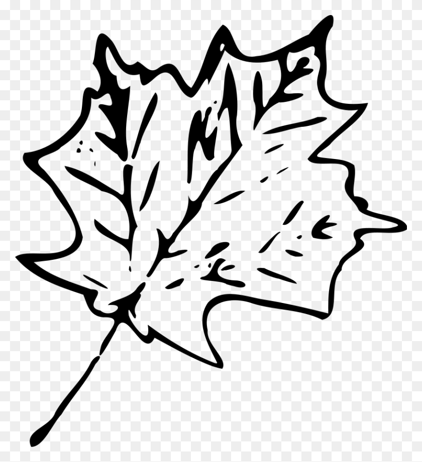 815x900 Leaves Black And White Maple Leaf Clipart Black And White - Pile Of Leaves Clipart