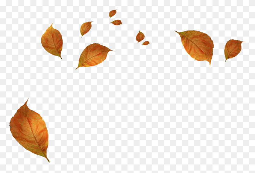1280x834 Leaves Blowing Clip Art - Blowing Leaves Clipart