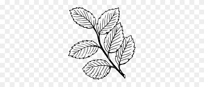279x300 Leaves Clip Art - Oak Leaf Clipart Black And White