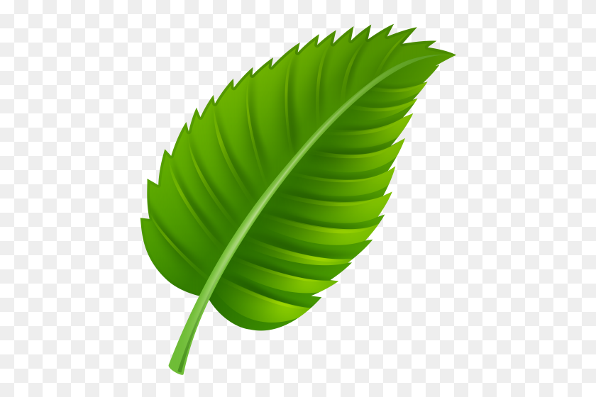456x500 Leaves, Clip Art And Art - Palm Leaves PNG