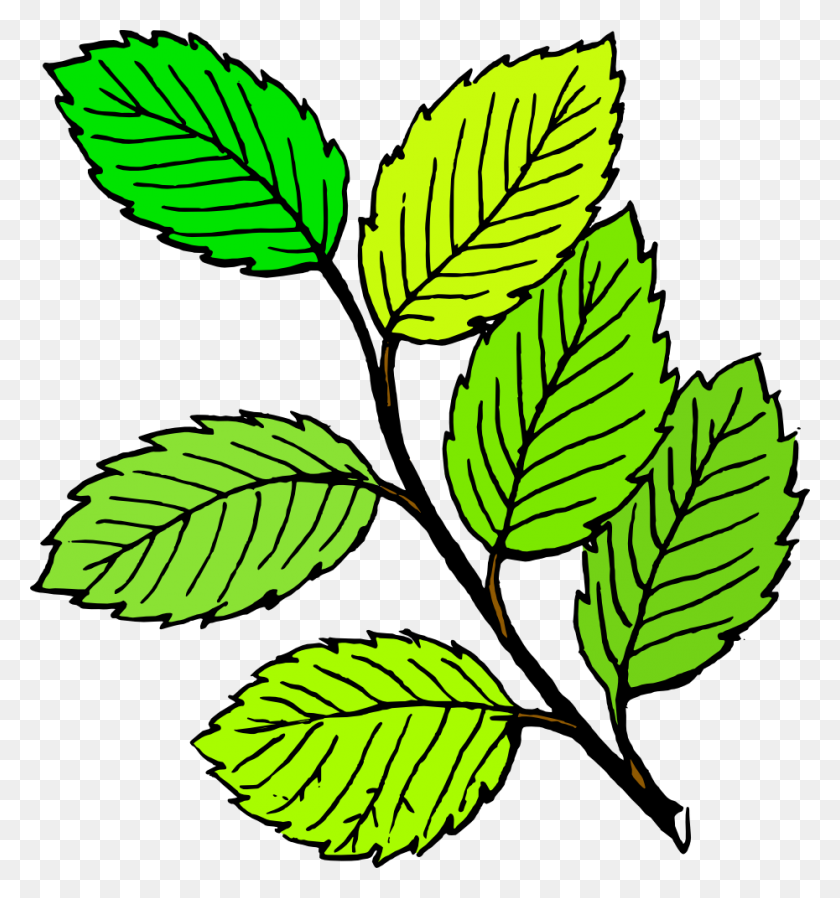 930x1000 Leaves Clipart - Tropical Leaves Clipart