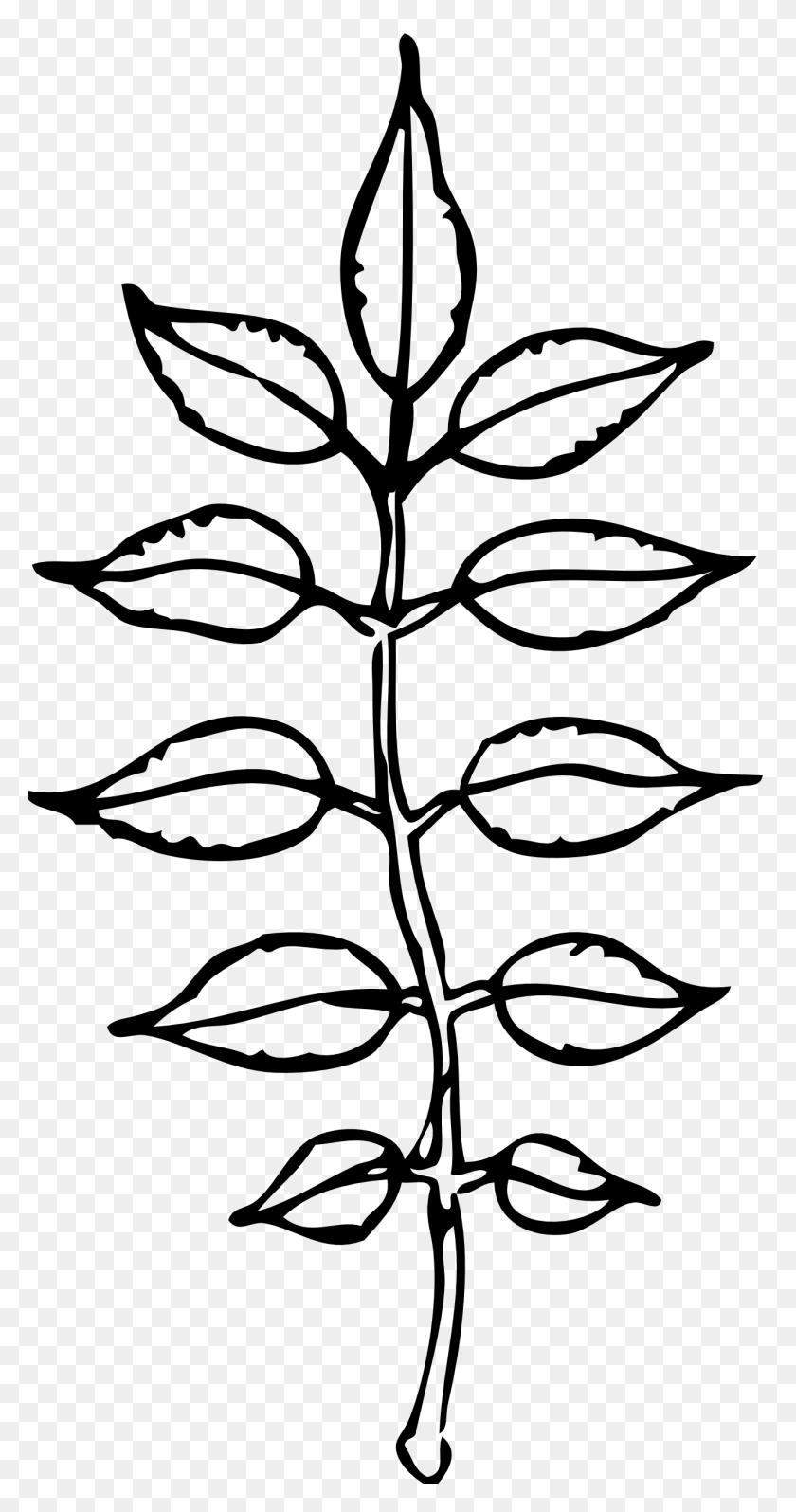 1331x2620 Leaves Clipart Black And White - Oak Leaf Clip Art