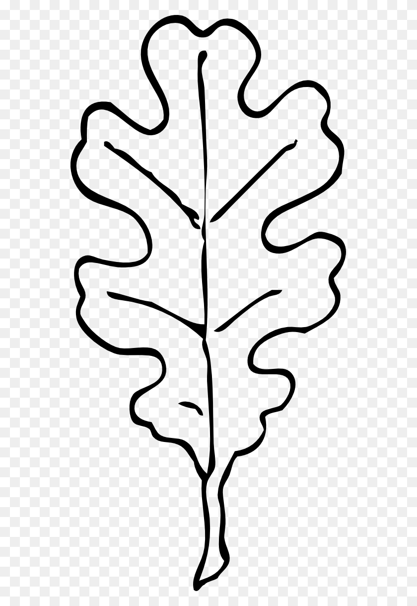 555x1159 Leaves Clipart Black And White - Leaf Clip Art Free