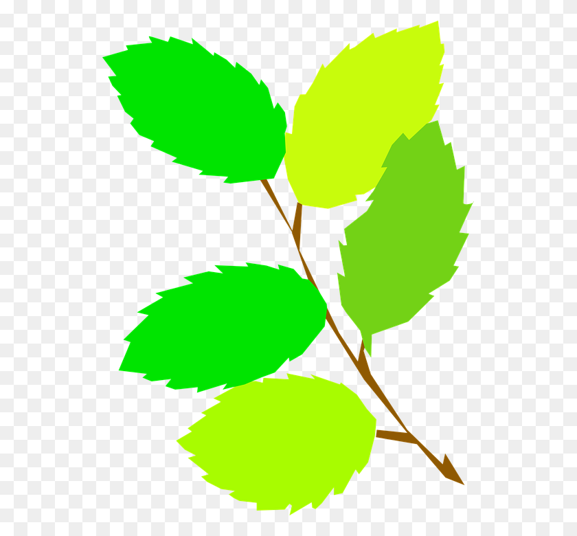 541x720 Leaves Clipart Branch - Leaf Branch Clip Art