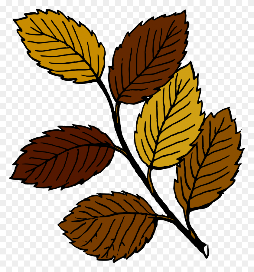 930x1000 Leaves Clipart Brown Leaf Pencil And In Color Leaves Png - Foliage Clipart