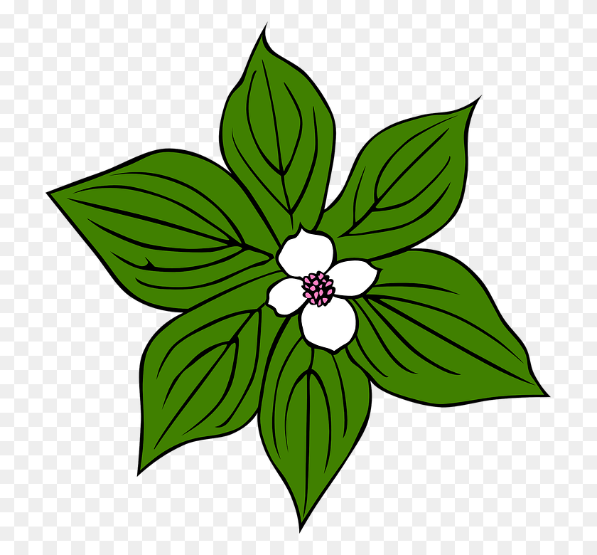 711x720 Leaves Clipart Flower - Flower With Leaves Clipart