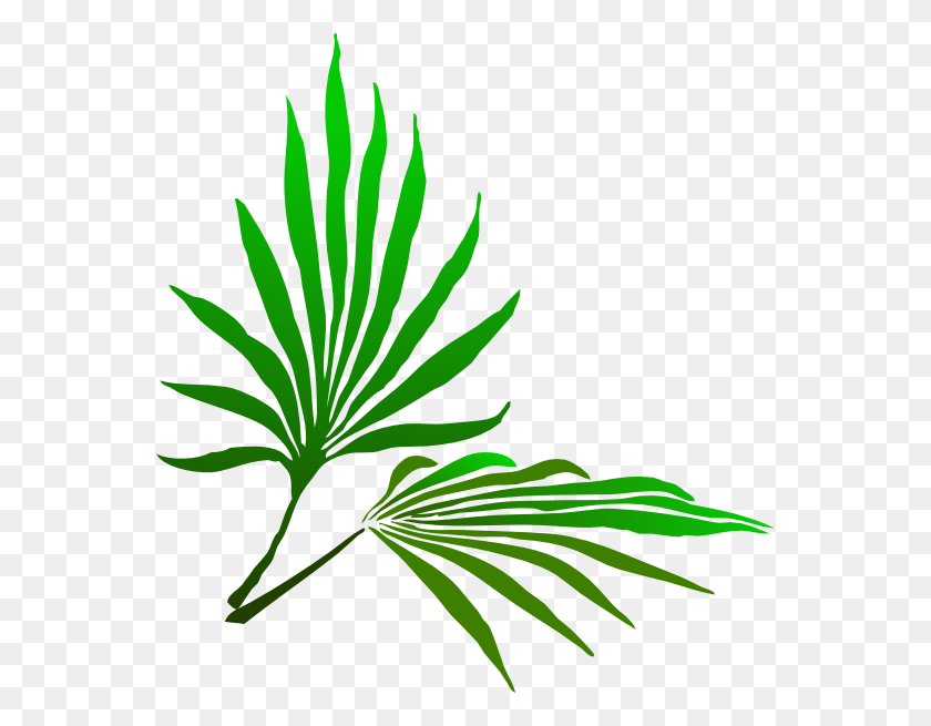 558x595 Leaves Clipart Palm Sunday - Leaf Images Clip Art