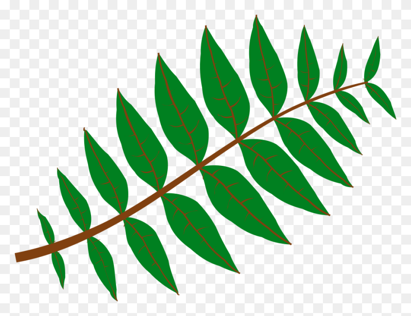 900x677 Leaves Clipart Png Clip Art Images - Palm Branch PNG