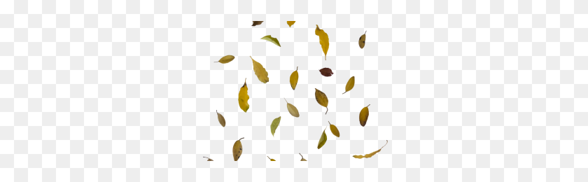 300x200 Leaves Falling Png Png Image - Leaves Falling PNG