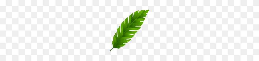 130x140 Leaves Png - Tropical Leaves PNG