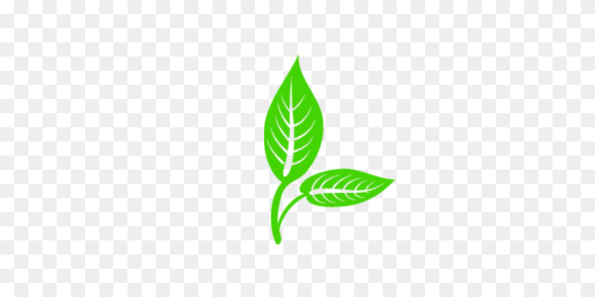 360x360 Leaves Vector Free Png, Vectors, And Clipart For Free - Eucalyptus Clipart