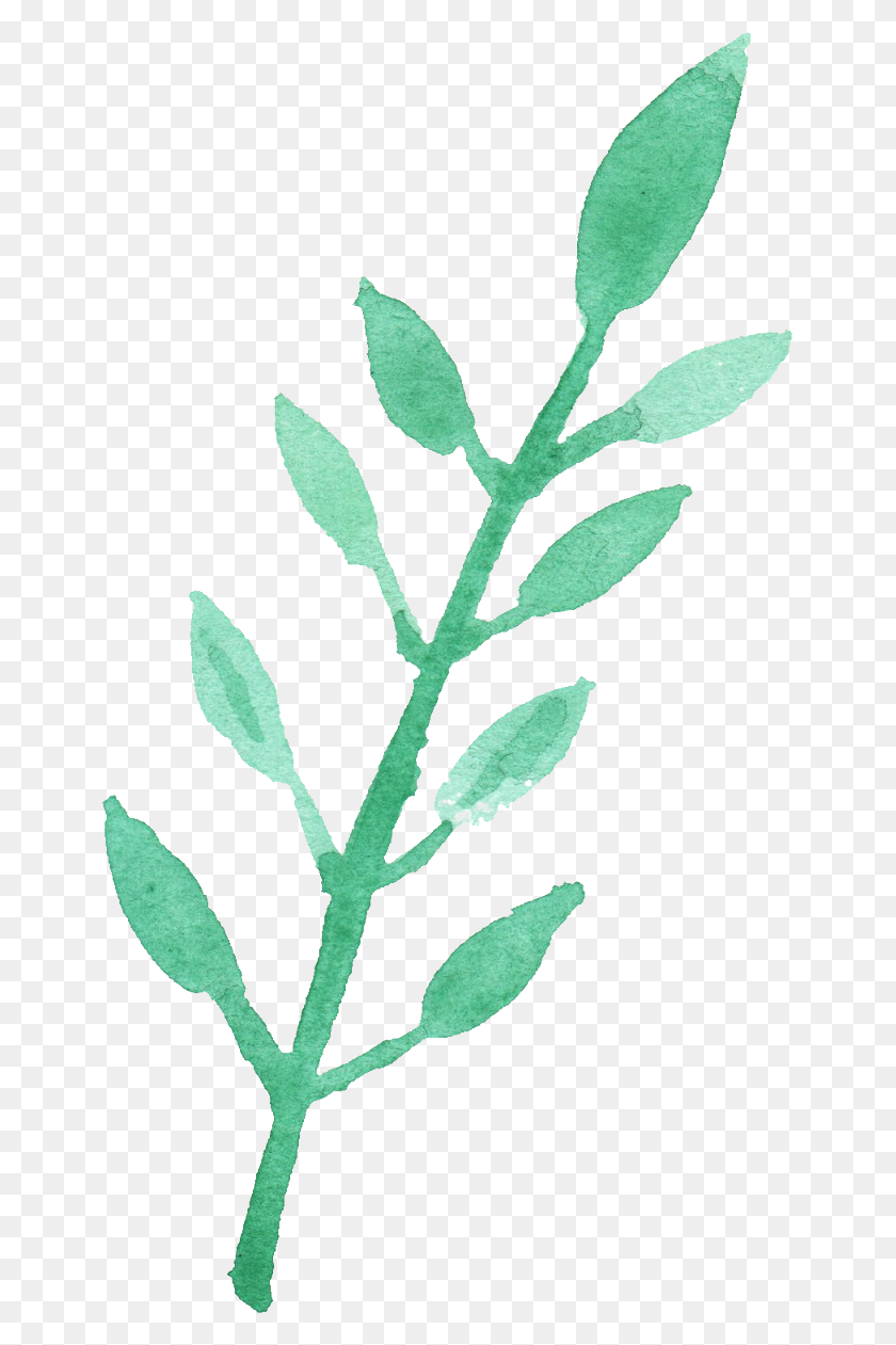 647x1201 Leaves Watercolor Png Png Image - Watercolor PNG