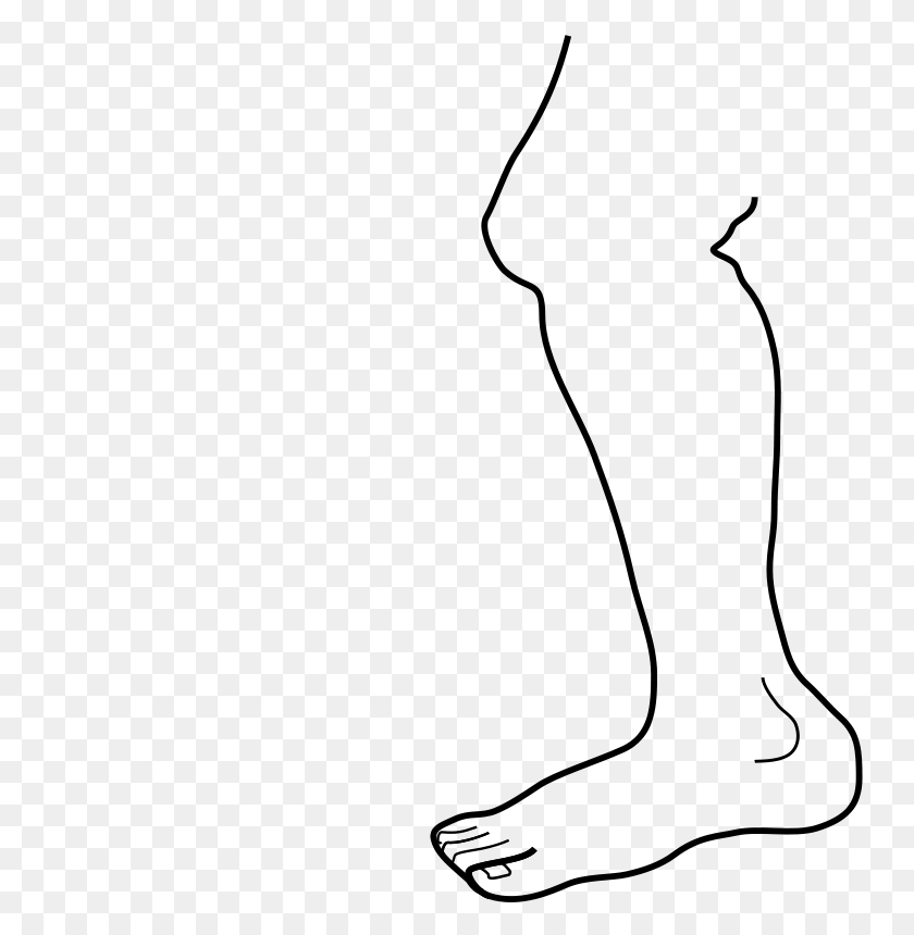 746x800 Leg Clip Art - Orthopedic Clipart