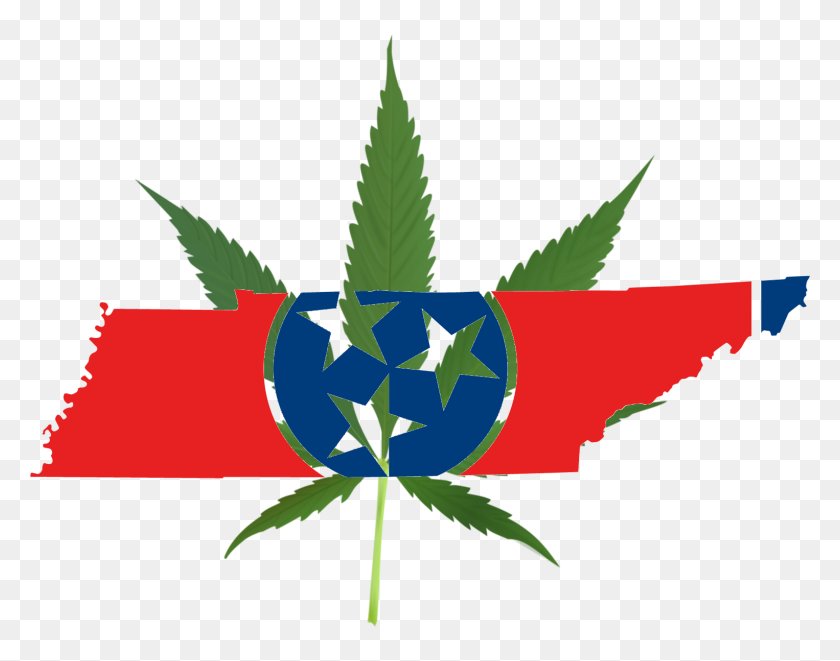 1526x1177 Legalization Issue Divides Candidates In Tennessee Governor Race - Marijuana PNG