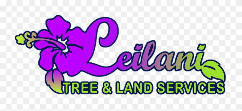 900x375 Leilani Tree Land Services, Бесплатные Оценки! Удаление Деревьев - Клипарт С Пальметто