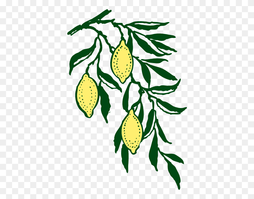 396x596 Lemon Branch Clip Arts Download - Tree Branch Clipart PNG