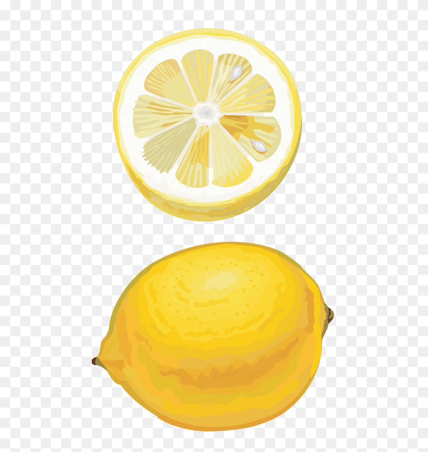 480x827 Limón Dibujo Cortado Png - Limones Png