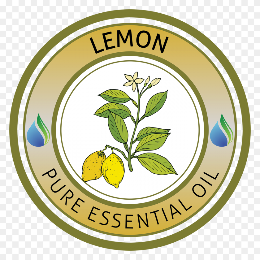 1200x1200 Lemon Essential Oil - Essential Oil Clip Art