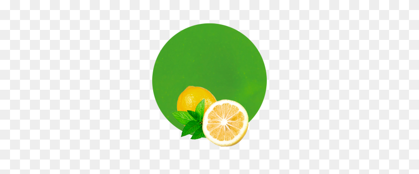 260x289 Lemon Mint Concentrate - Mint Leaves PNG