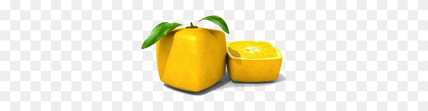 285x159 Rodaja De Limón Que Quema De Fruta - Rodaja De Limón Png