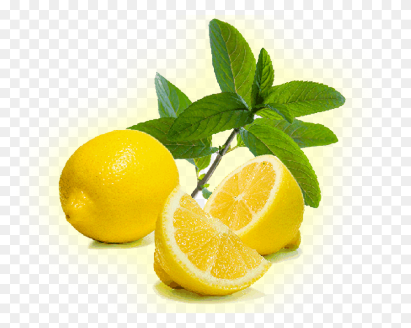 920x720 Поставщики, Производители И Экспортеры Лимонов В Андхрапрадеше - Лимоны Png