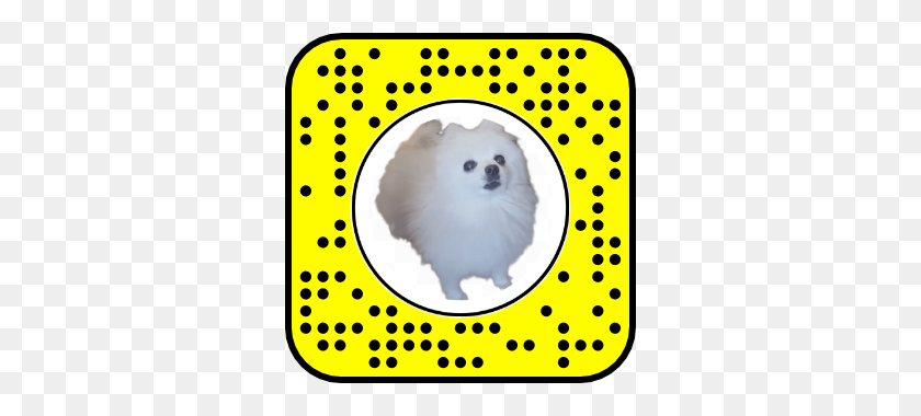 320x320 Lenslist Snapcodes - Gabe The Dog PNG