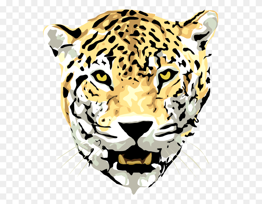 564x594 Леопард Картинки - Леопард Лицо Клипарт