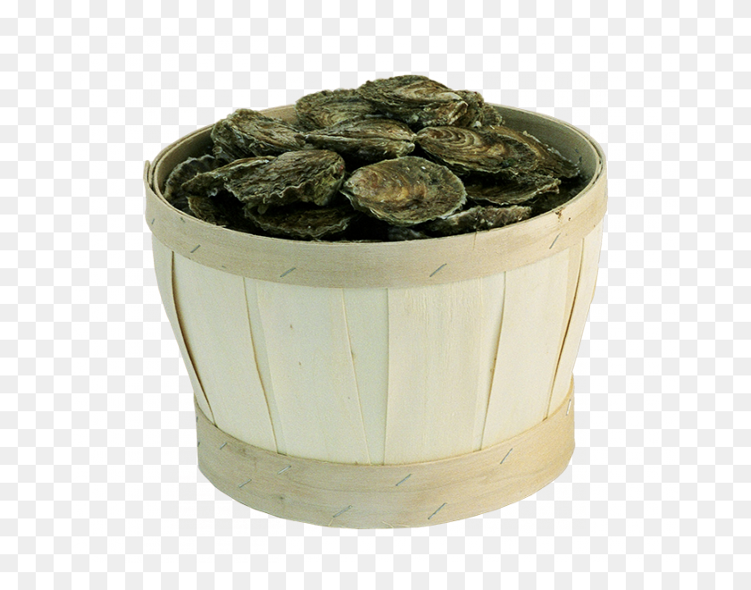 678x600 Les Produits Wooden Round Baskets - Oysters PNG